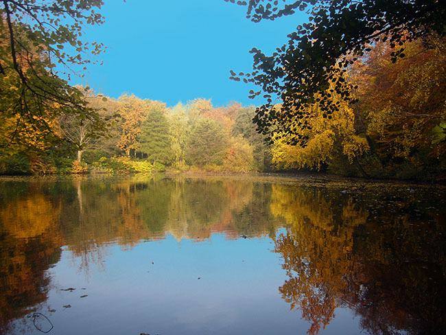 Der Wesselhoeftpark