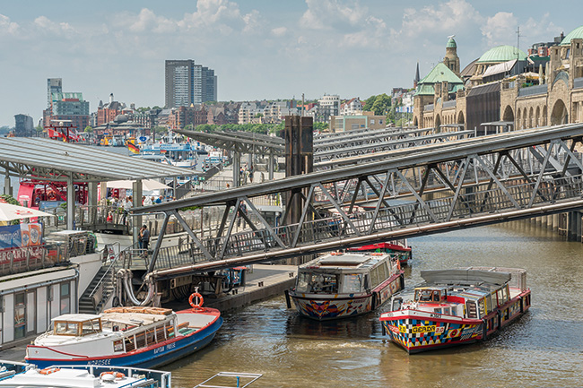 Ein Hang zur Elbe