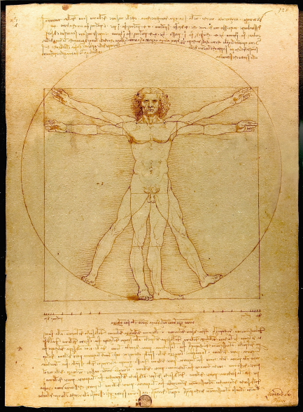 Leonardo: Der vitruvianische Mensch. Proportionsschema der menschlichen Gestalt nach Vitruv. Foto: Luc Viatour.