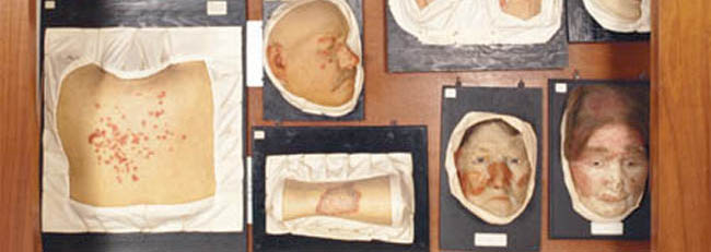 Medizinhistorisches Museum Am Uke New Generation